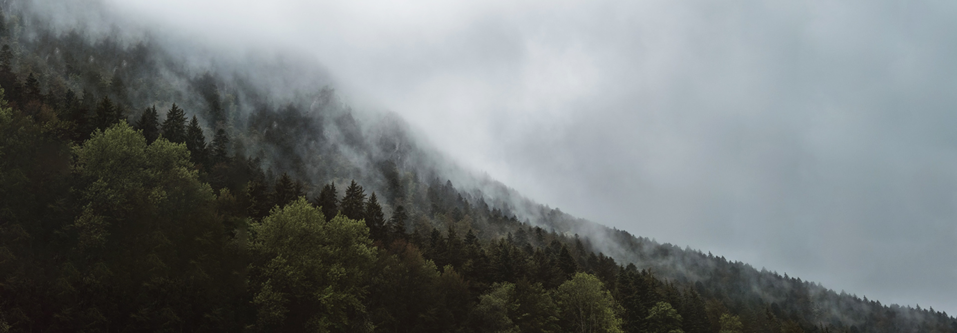 Gr&uuml;ne Herstellung