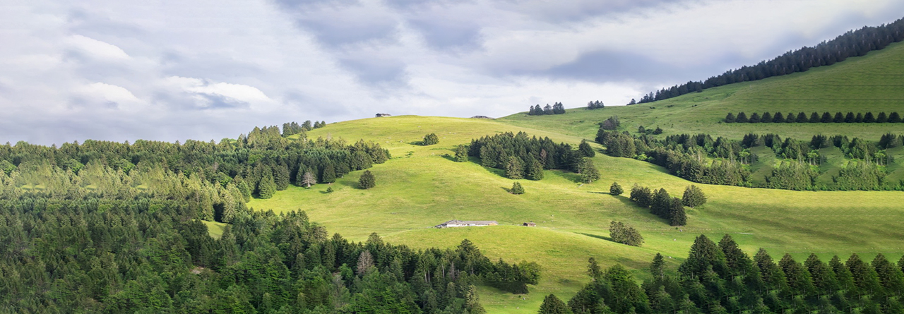 umweltfreundliche M&ouml;bel