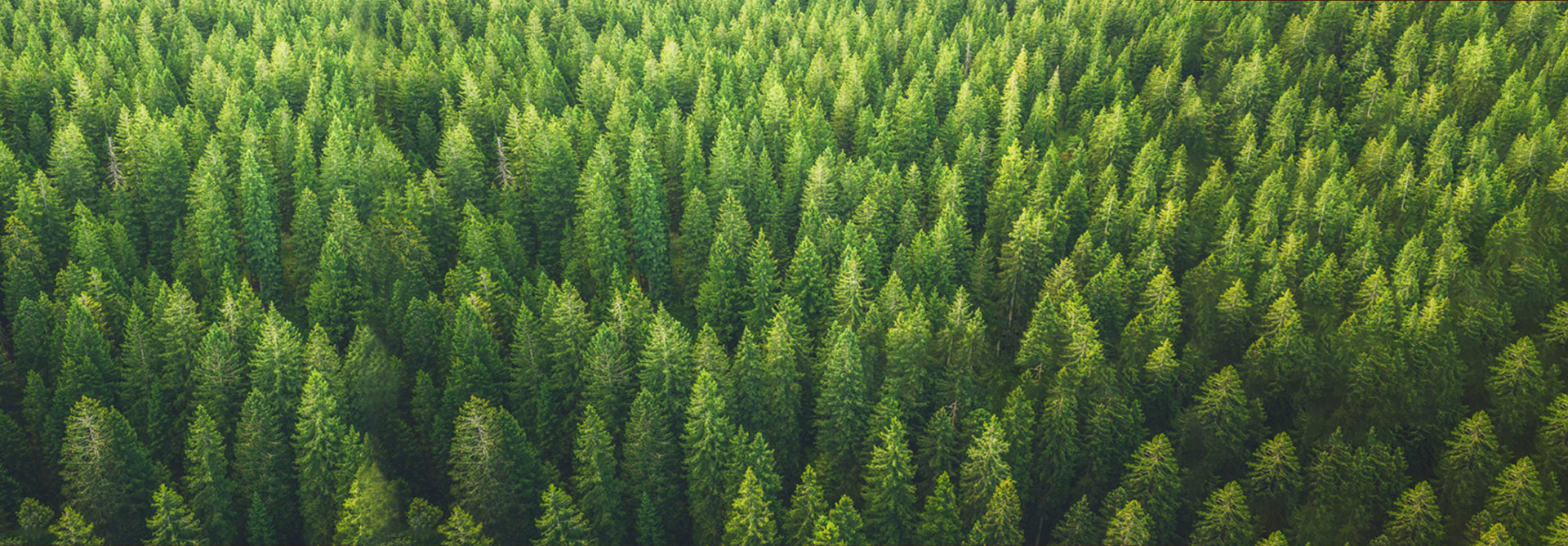 High-End-Sonderm&ouml;bel