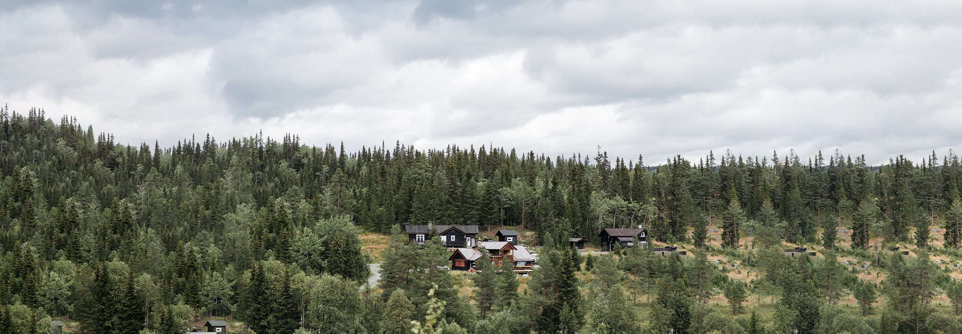 Umweltfreundliche M&ouml;bel